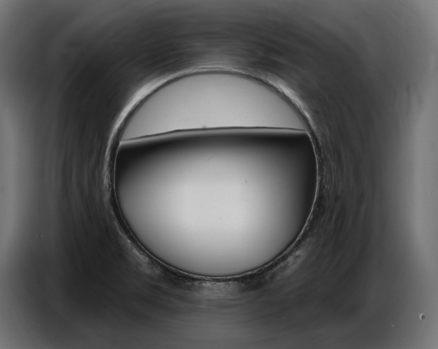 X0000086801469200704130850