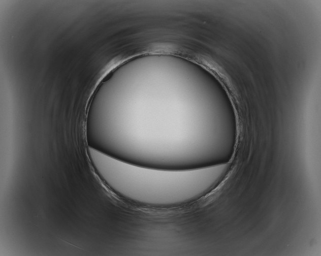 X0000086801473200704130849