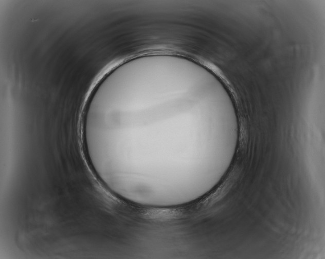 X0000086801474200704130849