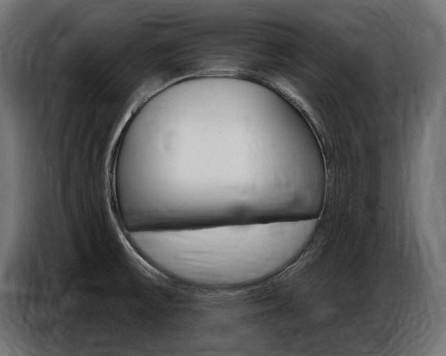 X0000086801475200704130849