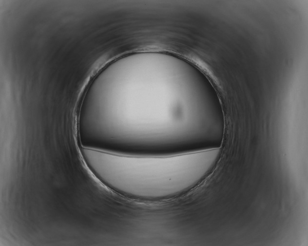 X0000086801476200704130849