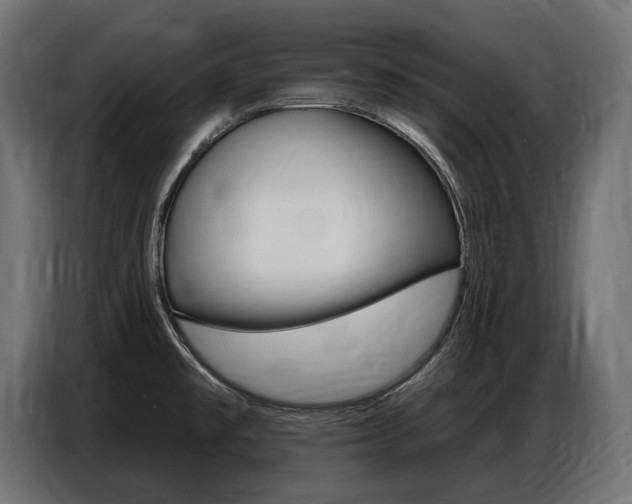 X0000086801477200704130849