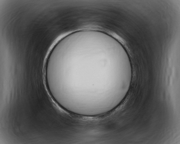 X0000086801478200704130849