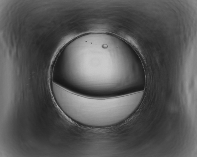 X0000086801480200704130849