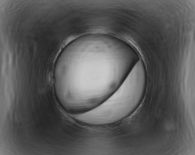X0000086801481200704130849