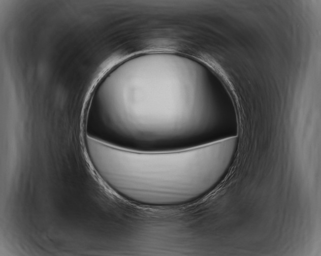 X0000086801488200704130849