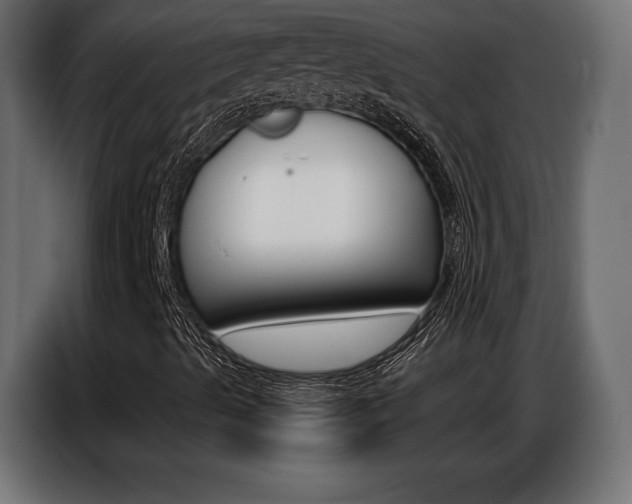X0000086801489200704130849