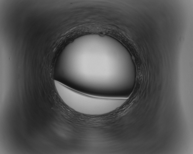 X0000086801490200704130849