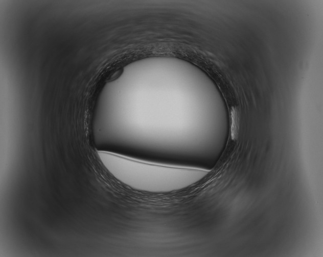 X0000086801491200704130849