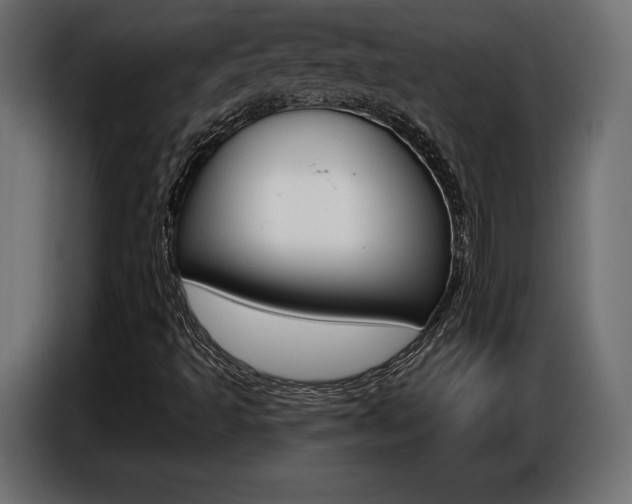 X0000086801493200704130849