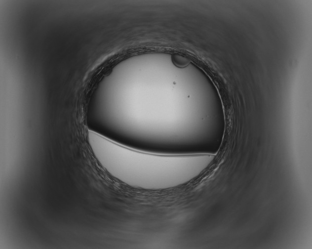 X0000086801494200704130849