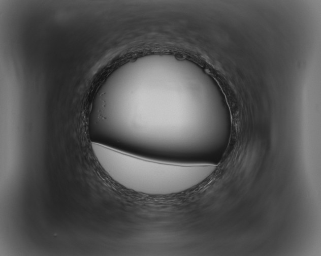 X0000086801495200704130849