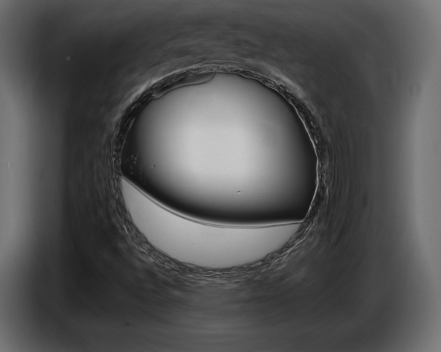 X0000086801496200704130849