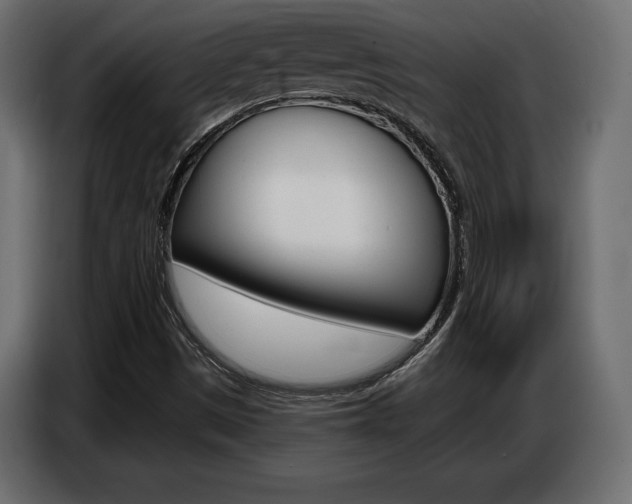 X0000086801497200704130849