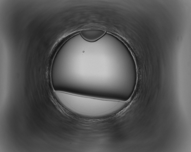 X0000086801499200704130849