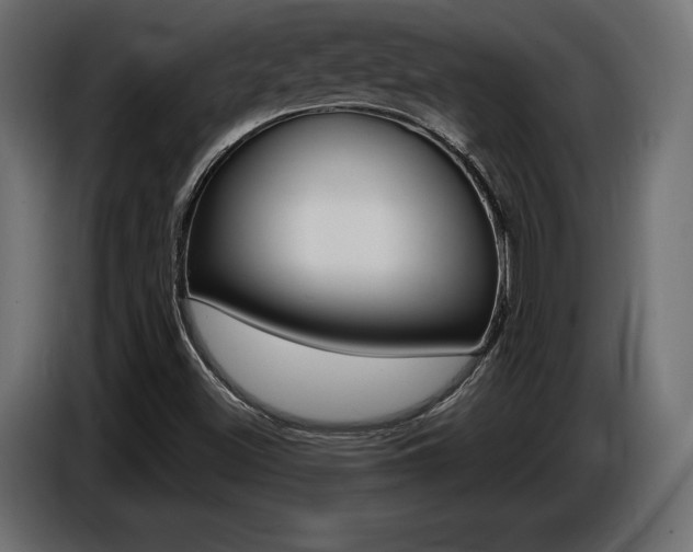 X0000086801500200704130849