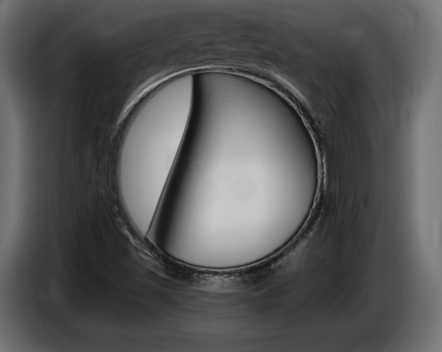 X0000086801501200704130849