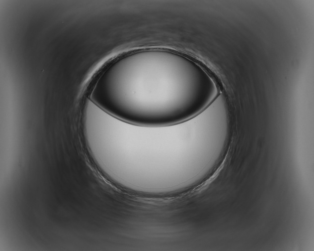 X0000086801502200704130849