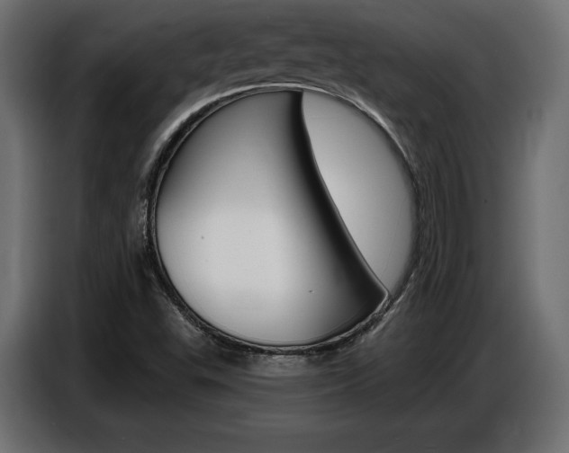 X0000086801503200704130849