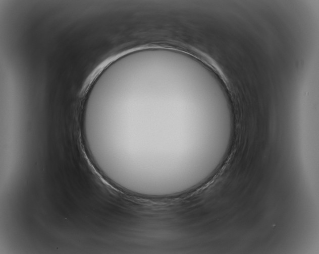 X0000086801504200704130849