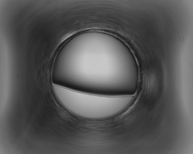 X0000086801505200704130849