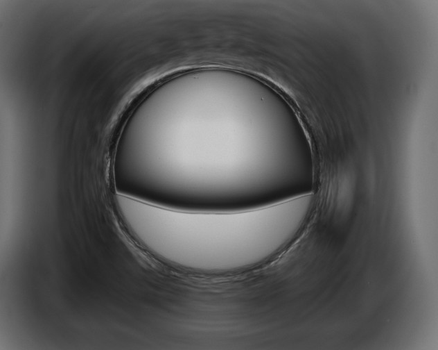 X0000086801507200704130849