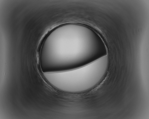 X0000086801509200704130849