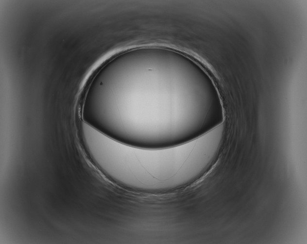 X0000086801510200704130849
