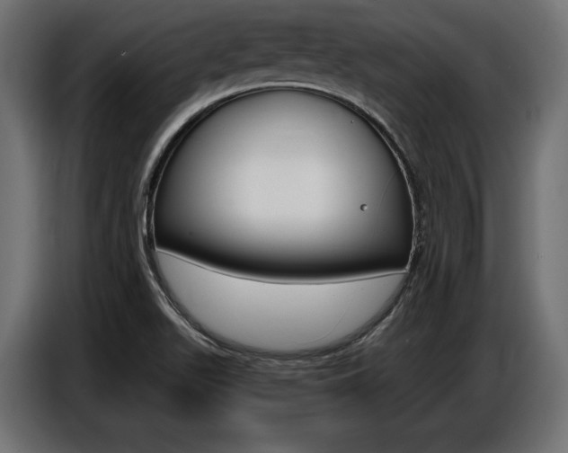 X0000086801511200704130849