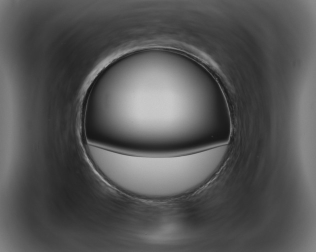 X0000086801512200704130849