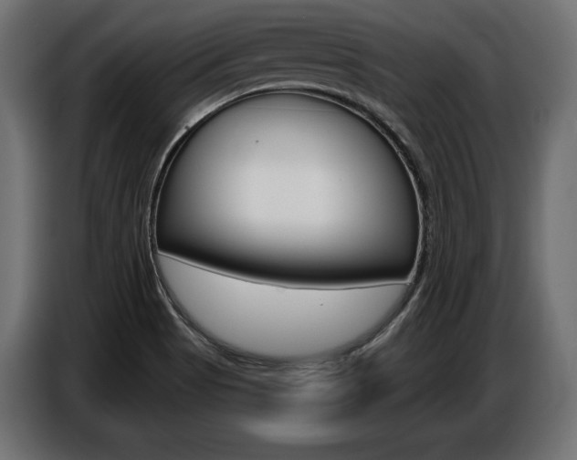 X0000086801513200704130849