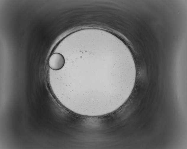 X0000086801514200704130849