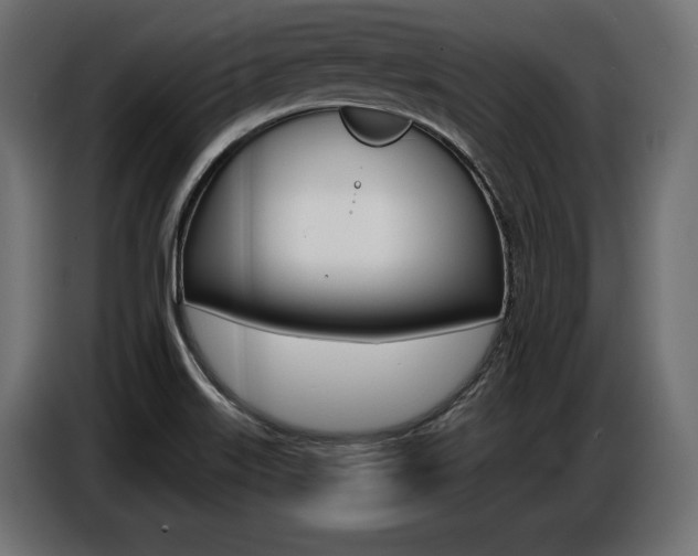 X0000086801515200704130849