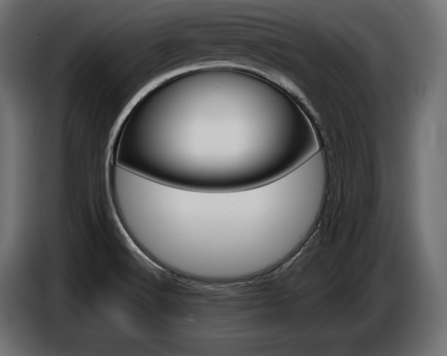 X0000086801516200704130849