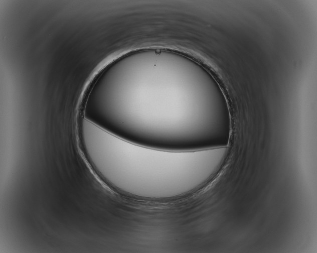 X0000086801517200704130849