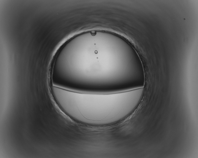 X0000086801518200704130849