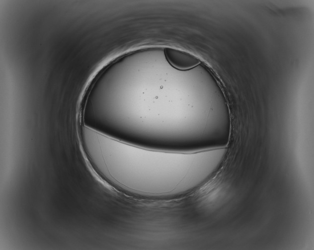 X0000086801519200704130849