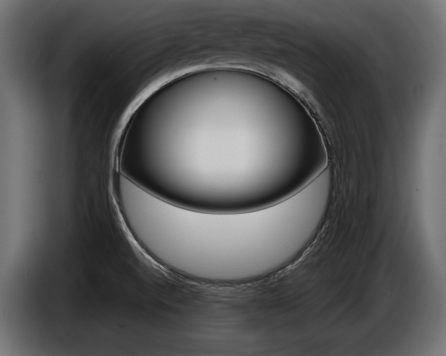 X0000086801520200704130849