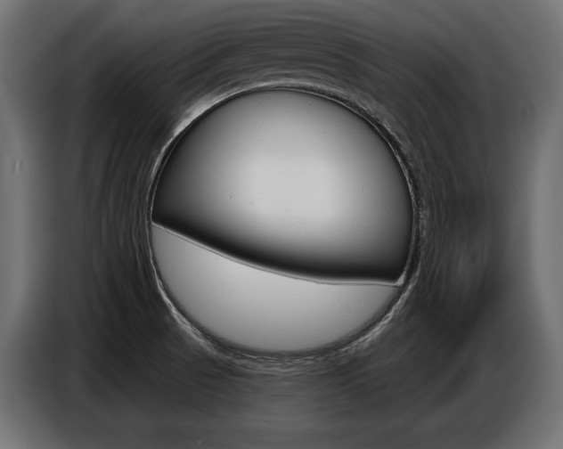 X0000086801521200704130849