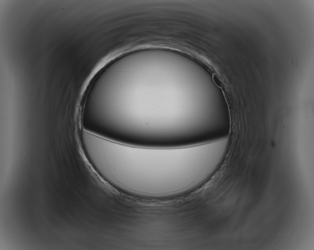 X0000086801522200704130849