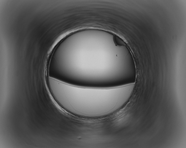 X0000086801523200704130849