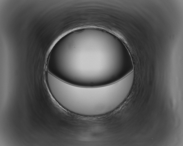 X0000086801524200704130849