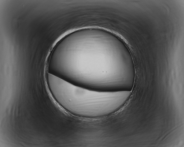 X0000086801526200704130849