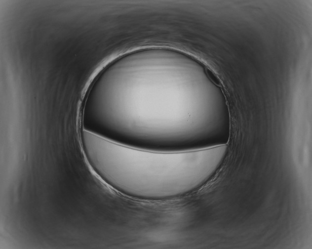 X0000086801527200704130849
