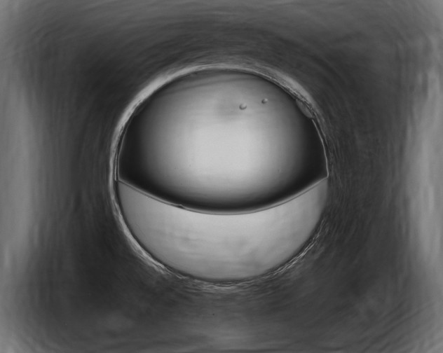 X0000086801528200704130849