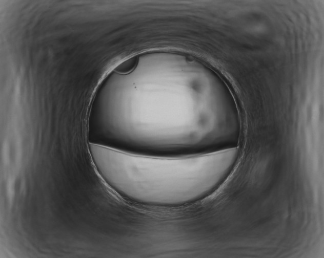 X0000086801529200704130849