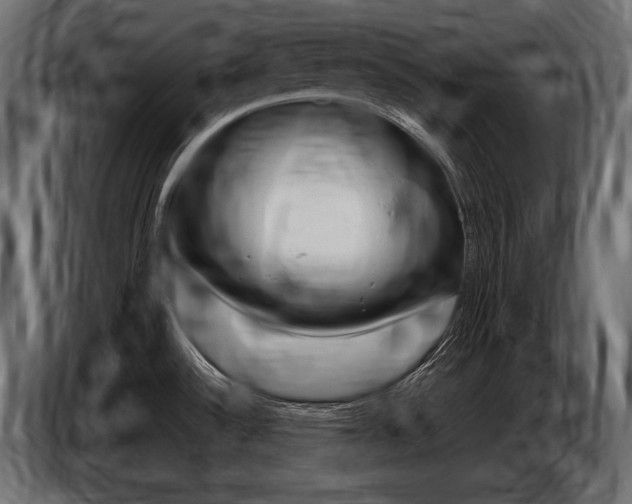 X0000086801532200704130849