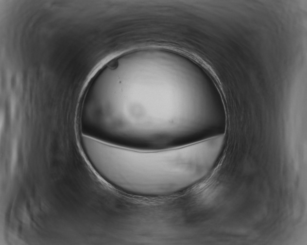 X0000086801533200704130849