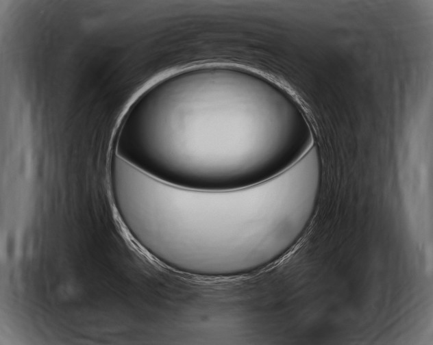 X0000086801534200704130849