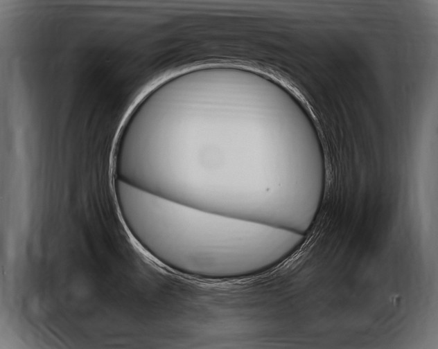 X0000086801535200704130849